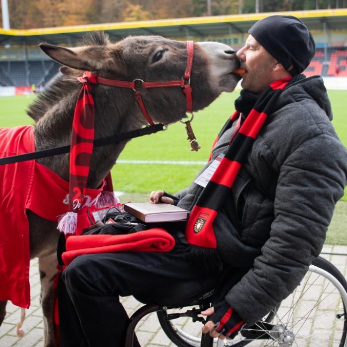 Das Maskottchen Andile der SG Sonnenhof Großaspach bekommt von Stadionsprecher Tai Volkmer eine Möhre gefüttert.