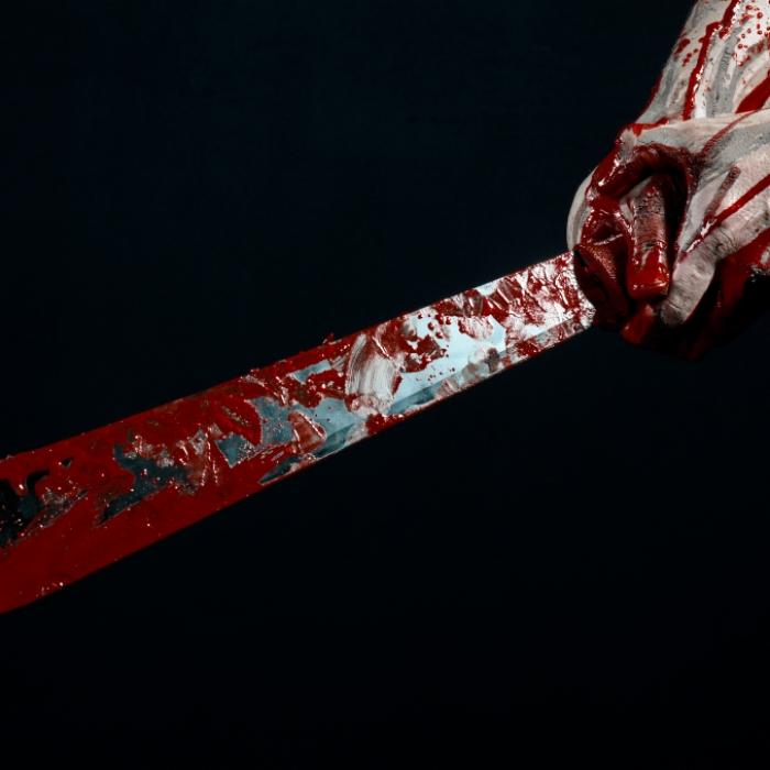 U-Bahn-Horror! Mann metzelt Fahrgäste nieder und hackt Passagier fast Kopf ab