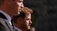 Ob sich die royalen Streithähne Prinz William und Prinz Harry jemals versöhnen, sagen Adelsexperten wie Jennie Bond zu bezweifeln.