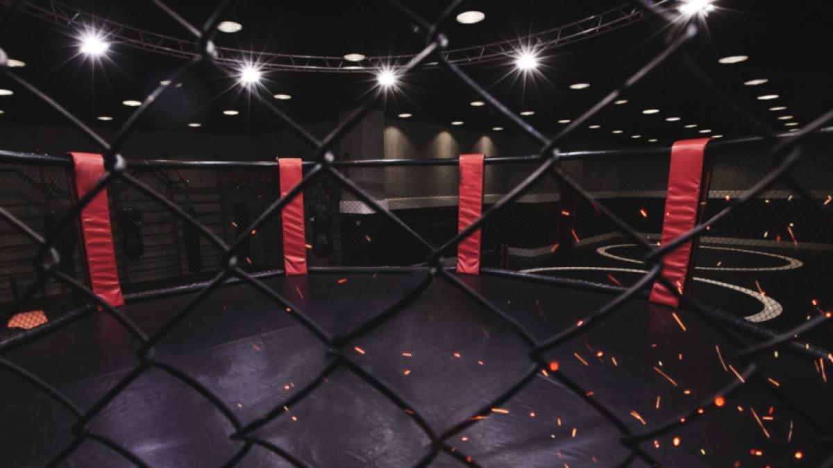 So sehen Sie UFC 266 im Live-Stream und TV. (Foto)