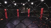 So sehen Sie UFC 266 im Live-Stream und TV.