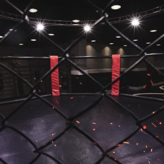 Volkanovski verteidigt Titel im Federgewicht beim UFC 266 - Blaydes siegt