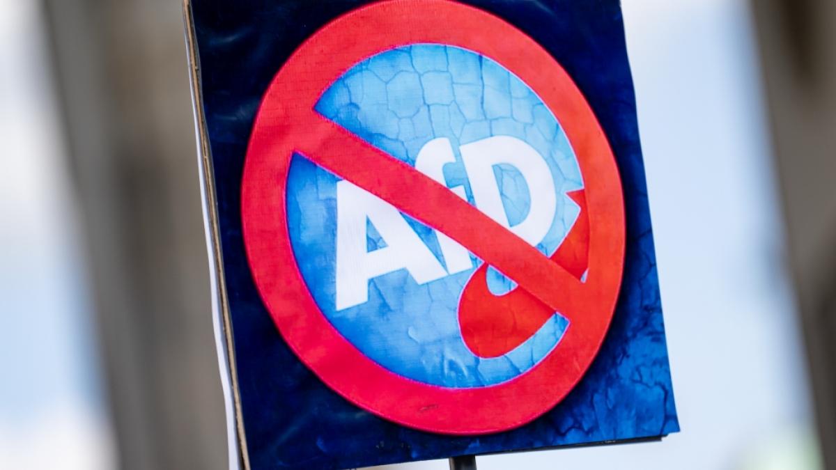 Wer AfD-Mitglied ist, kann sich einen Job im &ouml;ffentlichen Dienst von Rheinland-Pfalz abschminken. (Foto)