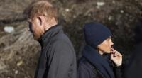 Prinz Harry und Meghan Markle sollten sich schleunigst was einfallen lassen, um ihren Ruf zu retten.
