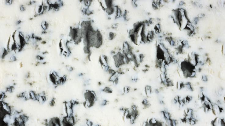 Ein Blauschimmelkäse wird wegen Salmonellen zurückgerufen.