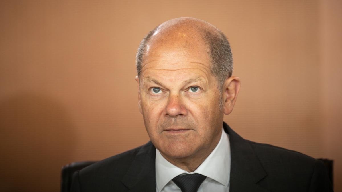 Hat Olaf Scholz bez&uuml;glich der Waffenlieferungen gelogen? (Foto)