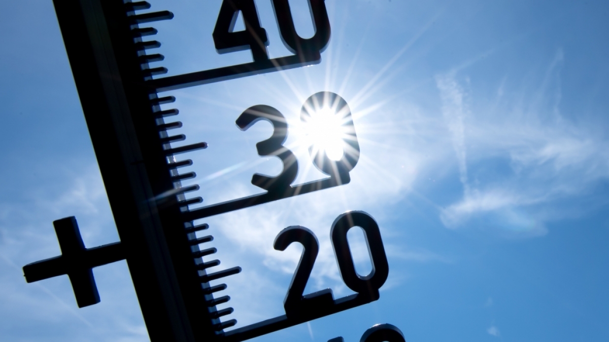 Deutschland &auml;chzt unter der Sommer-Hitze: In der kommenden Woche sind Temperaturen bis zu 40 Grad Celsius keine Seltenheit, wie die aktuelle Wetter-Vorhersage verr&auml;t. (Foto)