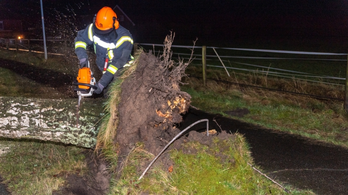 Sturmtief "Ylenia" hat f&uuml;r Feuerwehreins&auml;tze am laufenden Band gesorgt. (Foto)