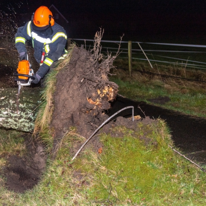 Unwetter-Warnung! Bahn stellt Zugverkehr im Norden ein