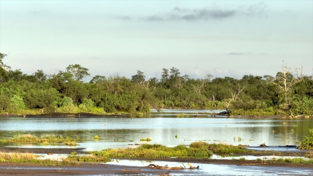 Paraguays unbekannte Sch&auml;tze bei Arte (Foto)