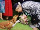 Royals und ihre Haustiere