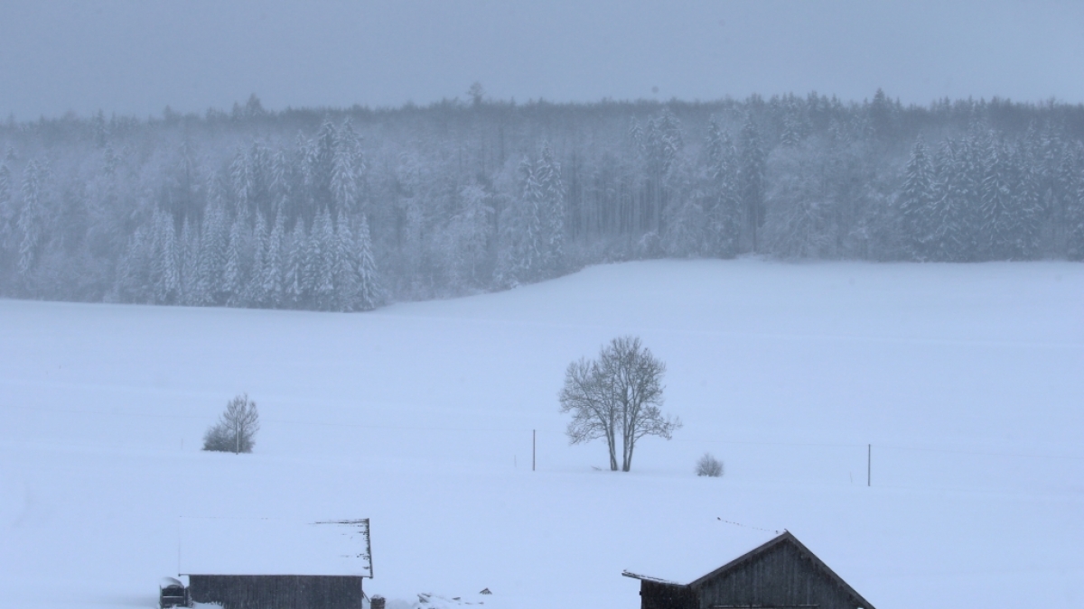 erschneit ist die Landschaft bei Friesenried. Der Winter hat weite Teile Bayerns weiter fest im Griff. (Foto)