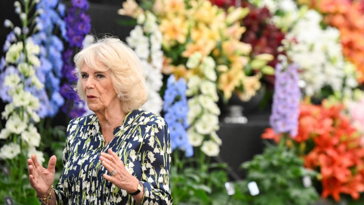 F&uuml;r ausufernde Mimik ist K&ouml;nigin Camilla eigentlich nicht bekannt - in Wimbledon entgleisten der K&ouml;nigsgemahlin jetzt jedoch alle Gesichtsz&uuml;ge. (Foto)