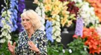 Für ausufernde Mimik ist Königin Camilla eigentlich nicht bekannt - in Wimbledon entgleisten der Königsgemahlin jetzt jedoch alle Gesichtszüge.