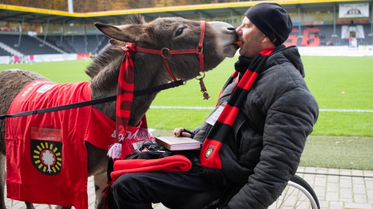 Stadionsprecher Tai Volkmer mit Gro&szlig;aspach-Maskottchen "Andile" (Archivbild aus 2019). (Foto)