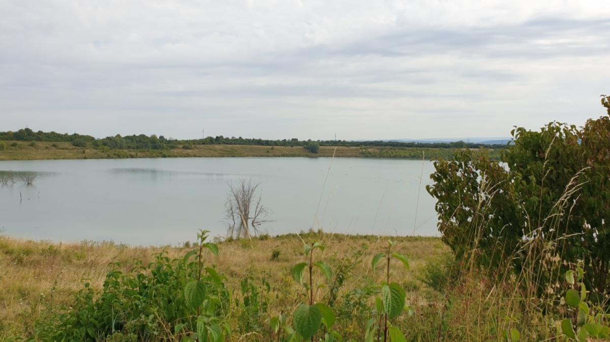 Die vermisste Ayleen A. (14) aus Gottenheim ist tot im hessischen Wetteraukreis aufgefunden worden. Das tote M&auml;dchen wurde am Teufelsee gefunden. (Foto)