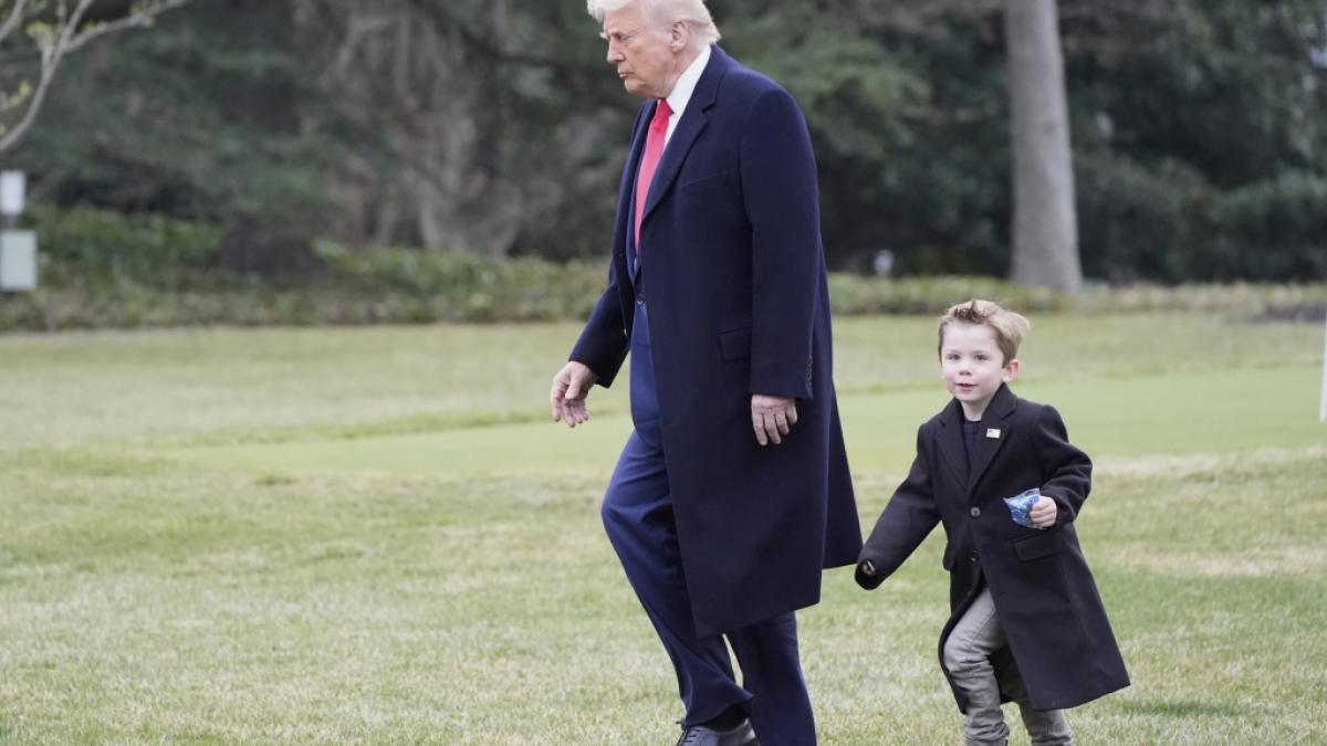 Donald Trump wurde beim Babysitten mit Elon Musks S&ouml;hnchen X &AElig; A-12 abgelichtet - und das Netz explodierte f&ouml;rmlich vor Gel&auml;chter. (Foto)