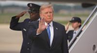 Donald Trump teilte ein bizarres Video mit bewaffneten Kanadagänsen.