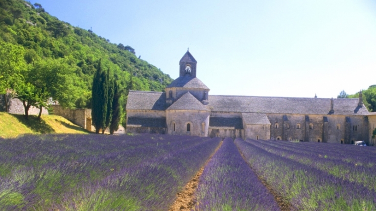 Schier endlose Felder und ein betörender Duft: Die Lavendelblüte in Südfrankreich.