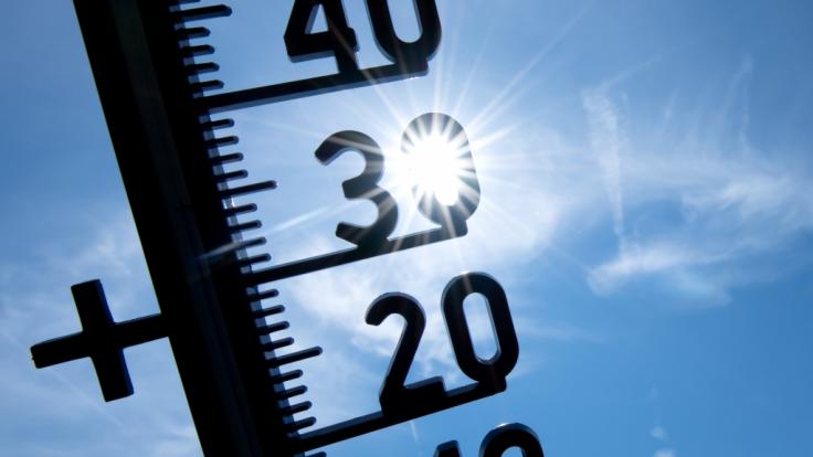 Rettet uns der Sommer vor der Corona-Pandemie?
