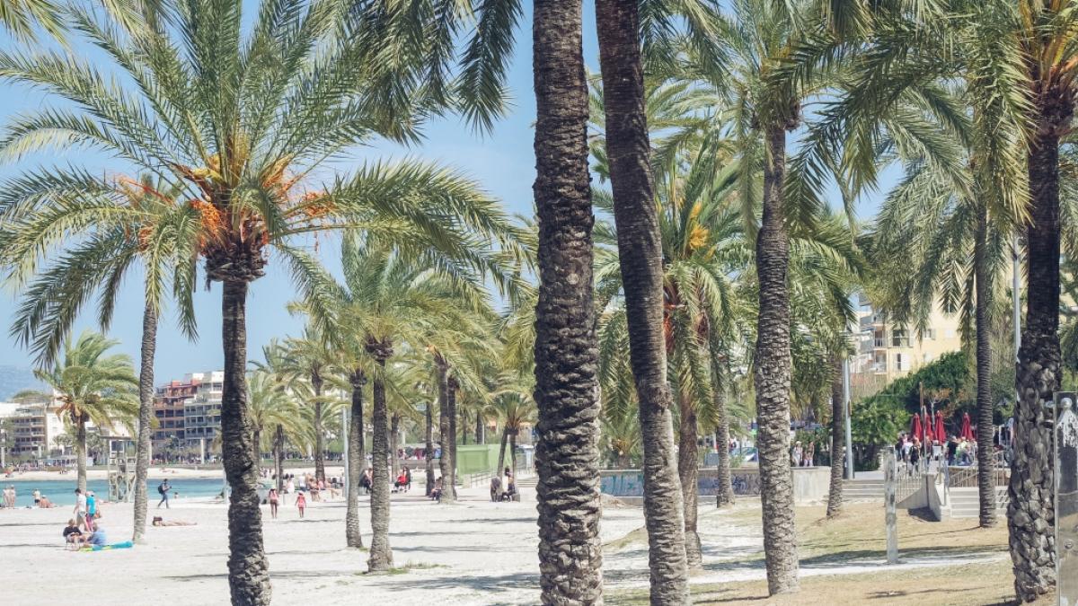 Erneut sorgt ein Vergewaltigungsfall auf Mallorca f&uuml;r Schlagzeilen. (Foto)