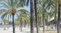 Erneut sorgt ein Vergewaltigungsfall auf Mallorca für Schlagzeilen.