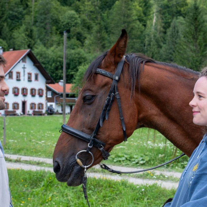 Wann und wo man die Wiederholung sehen kann