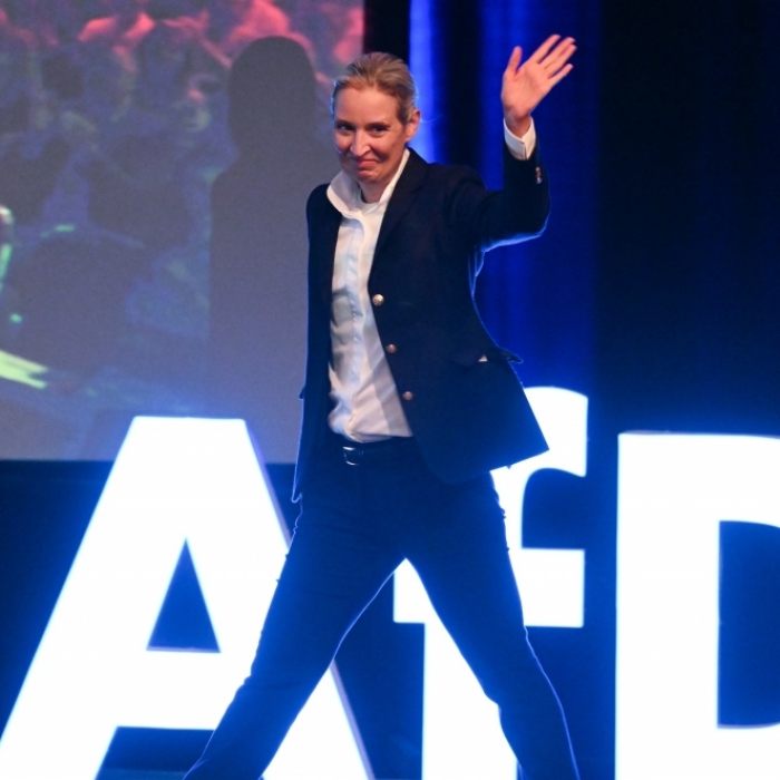 AfD-Chefin Weidel fordert Neuwahl in Brandenburg