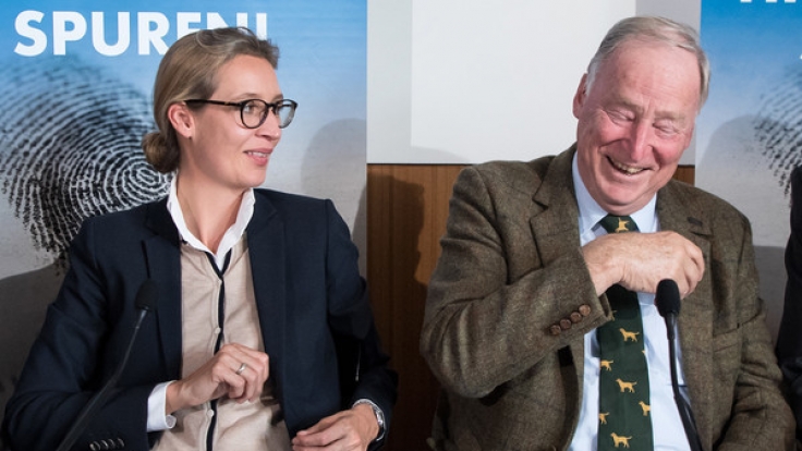 Alice Weidel und Alexander Gauland sind die Spitzenkandidaten der AfD.