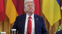 Ob Tucker Carlsons Worte auch den Geschmack von Donald Trump treffen?