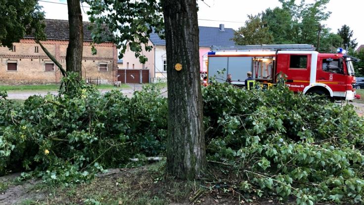 Ein Tornado hat schwere Sturmschäden im Dorf Klaistow (Brandenburg) angerichtet.