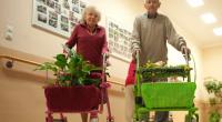 Unter dem Motto «Pimp my Rollator» wetteiferten die rüstigen Rentner um die am verrückteste Gehhilfe.