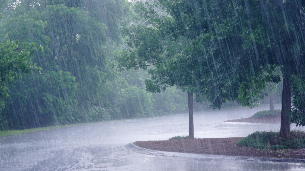 Wettervorhersage: Es wird regnerisch. (Symbolbild) (Foto)