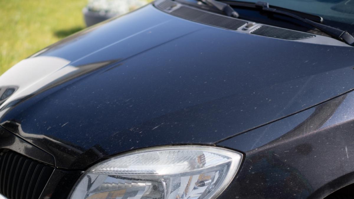 Die Motorhaube vor der Reinigung mit Gentlemonkeys... (Foto)