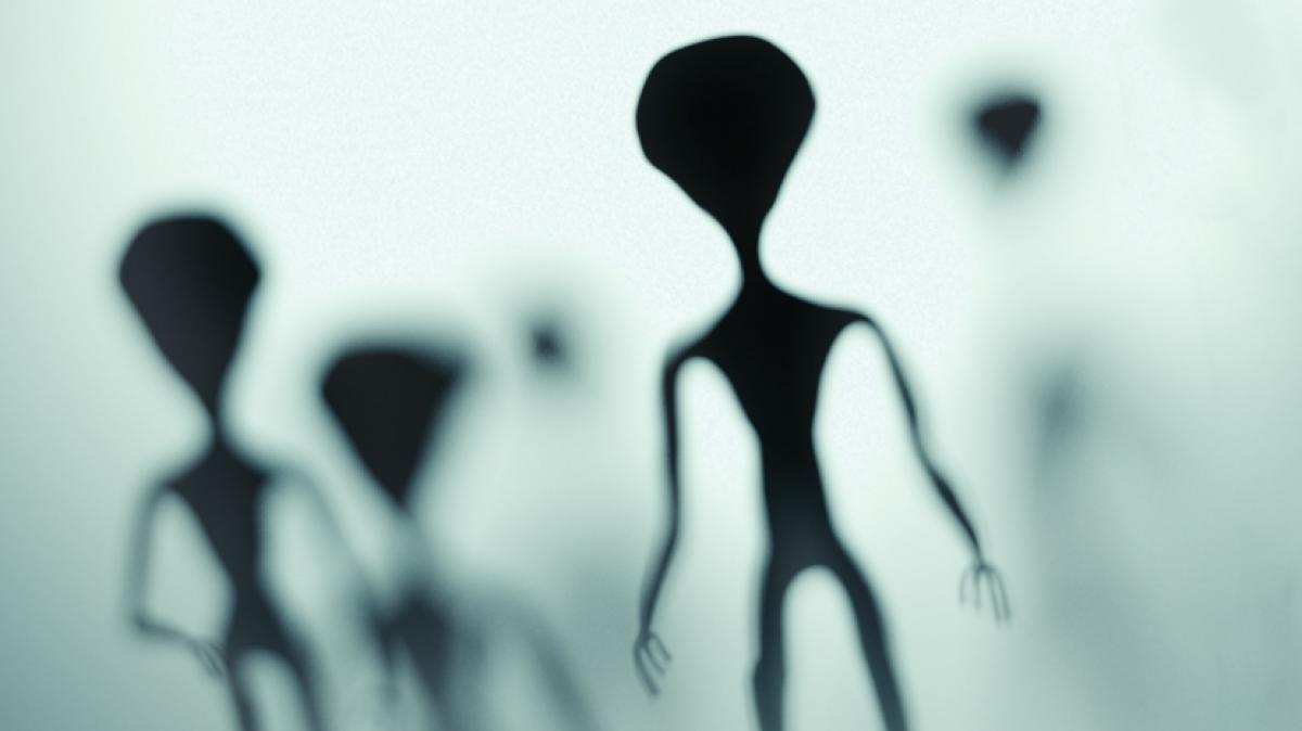 Wurden in der Antarktis Alien-&Uuml;berreste entdeckt? (Foto)