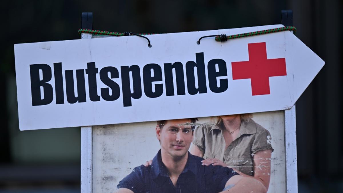 Wo kann man Blutspenden: Blutspendetermine in Ihrer Stadt (Symbolbild) (Foto)