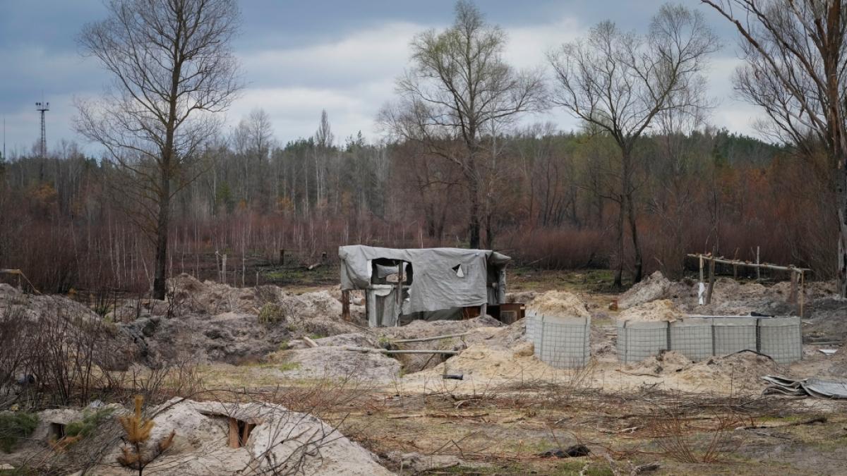 Verlassene russische Sch&uuml;tzengr&auml;ben und Feuerstellungen liegen im radioaktiven Roten Wald, der in der N&auml;he des Kernkraftwerks Tschernobyl mit radioaktiven &Uuml;berresten belastet ist. (Foto)