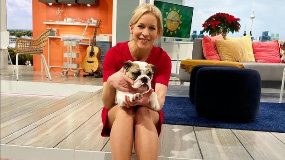 Ina Dietz gibt auf ihrem Instagram-Profil surfdietz einen Einblick in ihren Alltag. (Foto)