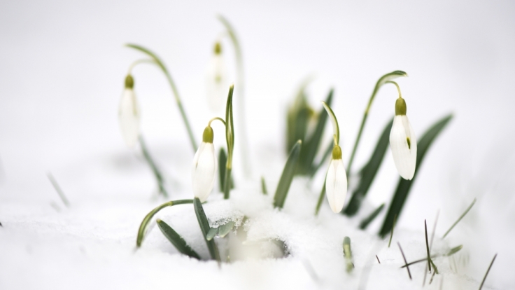 Wetter Im Marz 2018 Aktuell Ende Der Kalte Welle Meteorologen