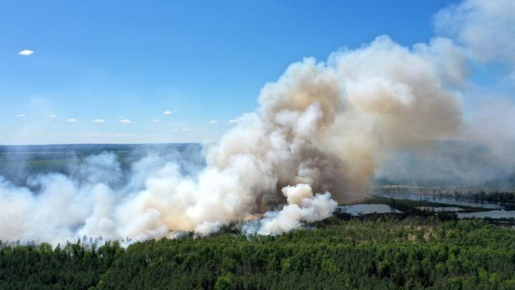 In Brandenburg wurde die Waldbrandstufe fünf ausgerufen. (Symbolfoto)