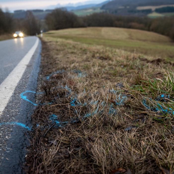 Tatverdächtiger packt aus: Wilderer sollte Jagdschein zeigen und ballerte los