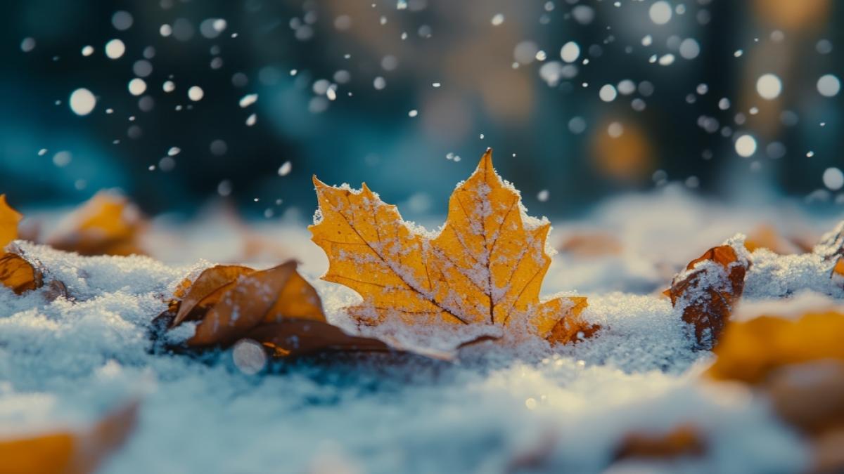 Wie wird das Wetter im November 2024? (Foto)
