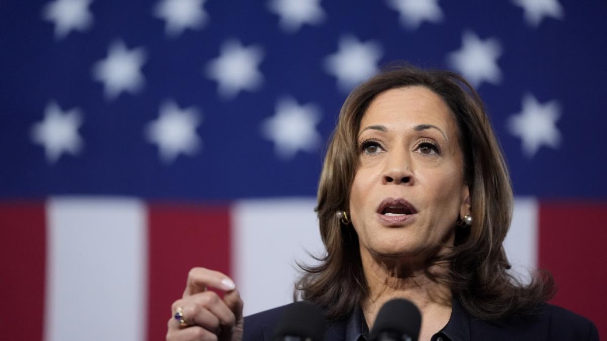 Kamala Harris spricht w&auml;hrend einer Wahlkampfveranstaltung. (Foto)