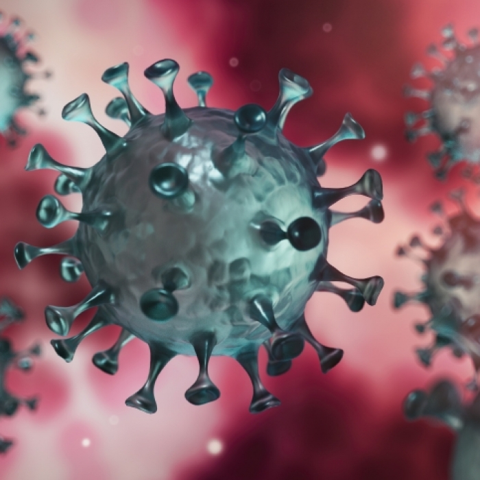 Dauer-Lockdown droht! Virologin warnt vor weiterer Welle im Herbst