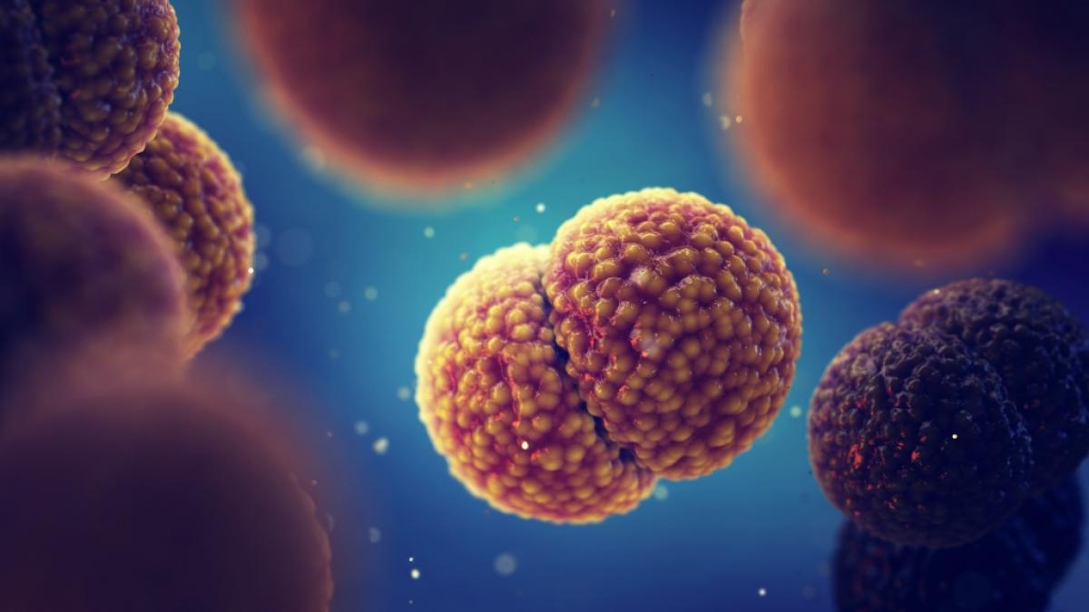 Ein Jugendlicher (14) starb in South Carolina durch eine Meningokokken-Sepsis. (Foto)