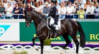 Beim Großen Dressurpreis von Aachen reitet die deutsche Dressurreiterin Isabell Werth auf dem Pferd Wendy de Fontaine durch den Parcours.