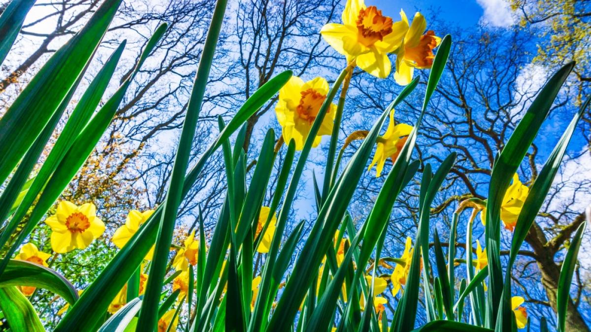 Kommt der Winter an Ostern zur&uuml;ck? (Foto)