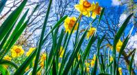 Kommt der Winter an Ostern zurück?