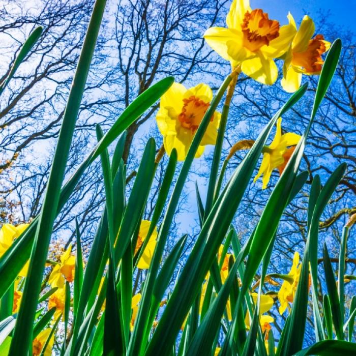 Temperatursturz an Ostern! Sorgt Hoch Odette für Wintereinbruch?