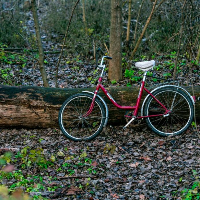 Mädchen (9) im Wald vergewaltigt - Täter war erst 15 Jahre alt